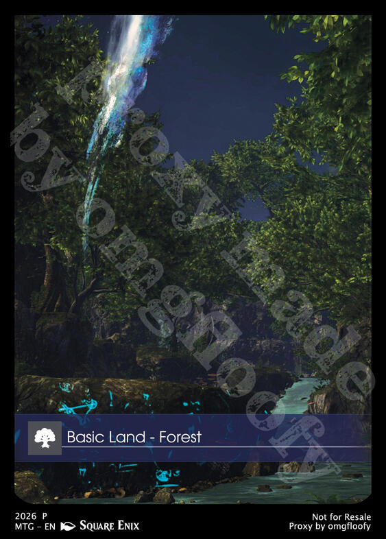 Forest